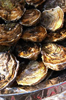 Danita Delimont A plate of oysters Print
