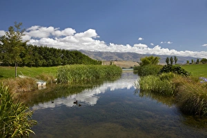 Pond at Northburn Vineyard, Central Otago, South Island, New Zealand Pond at Northburn Vineyard, Central Otago, South Island, New Zealand