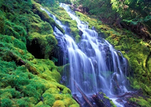 Proxy Falls over moss carpeted rocks in Oregons Central Cascade Mountains Proxy Falls over moss carpeted rocks in Oregons Central Cascade Mountains