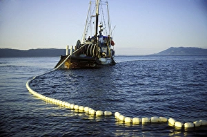 Purse Seining commercial fishing boat letting out the net in Pudget Sound, Washington Purse Seining commercial fishing boat letting out the net in Pudget Sound, Washington