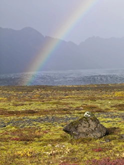 Rainbow over tundra with wild flowers, Iceland Rainbow over tundra with wild flowers, Iceland
