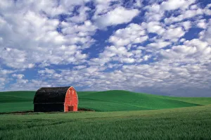 Red barn in wheat & barley field in Whitman County, Washington state PR (MR) Red barn in wheat & barley field in Whitman County, Washington state PR (MR)