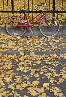 Red bicycle rests against a fence amidst yellow fallen leaves Red bicycle rests against a fence amidst yellow fallen leaves