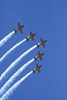The Red Checkers Aerobatic Display Team with CT-4B Airtrainers The Red Checkers Aerobatic Display Team with CT-4B Airtrainers