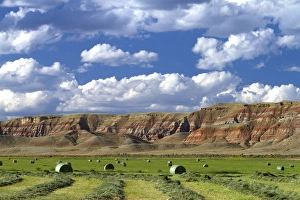 Red rock cliffs and newly harvested alfalfa hay near Dubois, Wyoming, USA Red rock cliffs and newly harvested alfalfa hay near Dubois, Wyoming, USA