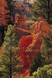 Red Rock; Red Canyon; Utah; USA; nature; scenic; late afternoon; natural wonder Red Rock; Red Canyon; Utah; USA; nature; scenic; late afternoon; natural wonder