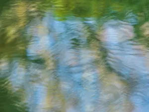 Calm Lake Scene Prints: Rippled reflection in pond