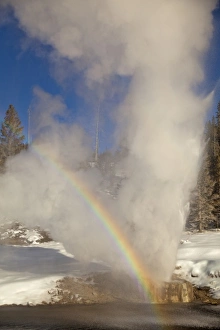 Riverside Geyser erupts along the Firehole River on a nice sunny winter day in Yellowstone Riverside Geyser erupts along the Firehole River on a nice sunny winter day in Yellowstone