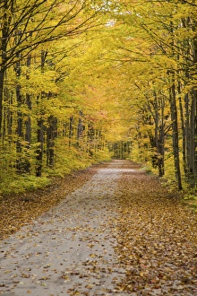 Road in fall color Schoolcraft County Upper Peninsula Michigan Road in fall color Schoolcraft County Upper Peninsula Michigan