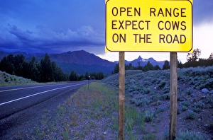 Road Sign on the Beartooth Highway in Wyoming Road Sign on the Beartooth Highway in Wyoming