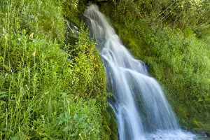 Roadside waterfall near Mt. Hood, Mt. Hood National Forest, Oregon Roadside waterfall near Mt. Hood, Mt. Hood National Forest, Oregon