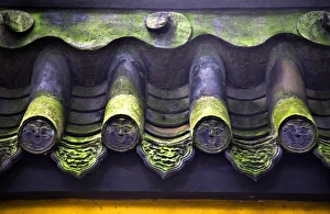 Roof Tiles Faces Green Moss Baoguang Si Shining Treasure Buddhist Temple Chengdu Roof Tiles Faces Green Moss Baoguang Si Shining Treasure Buddhist Temple Chengdu