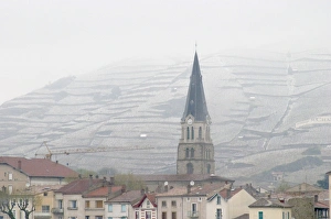 The roof tops and the church. The Hermitage vineyards on the hill behind the city The roof tops and the church. The Hermitage vineyards on the hill behind the city