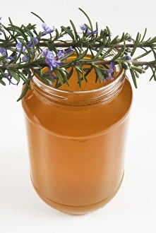 Rosemary (rosmarinus officinalis) honey in jar Rosemary (rosmarinus officinalis) honey in jar