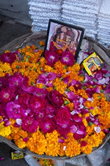 Roses and marigolds, the flowers of Pushkar, Rajasthan, India Roses and marigolds, the flowers of Pushkar, Rajasthan, India