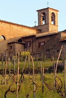 Above rows of grapevines, a church bell tower stands, in the Lamole area of Tuscany Above rows of grapevines, a church bell tower stands, in the Lamole area of Tuscany