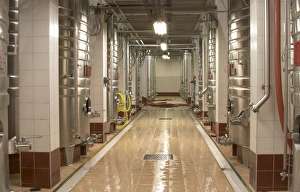 Rows of stainless steel fermentation tanks and a newly cleaned floor. The winery is designed Rows of stainless steel fermentation tanks and a newly cleaned floor. The winery is designed