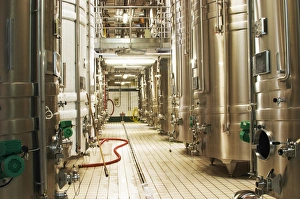 Rows of Stainless steel wine fermentation tanks with two tanks that are in cold stabilization Rows of Stainless steel wine fermentation tanks with two tanks that are in cold stabilization