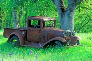 A rusting 1931 Ford pickup truck sitting in a field under an oak tree A rusting 1931 Ford pickup truck sitting in a field under an oak tree