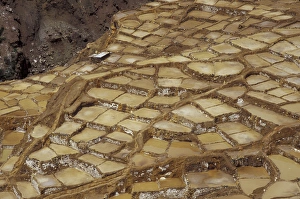 SA, Peru, Urubamba Valley Salt pans of Maras, dating from Inca times SA, Peru, Urubamba Valley Salt pans of Maras, dating from Inca times