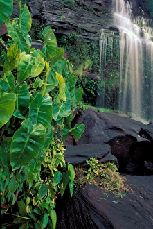 SA, Venezuela, Canaima National Park, Hacha Falls SA, Venezuela, Canaima National Park, Hacha Falls