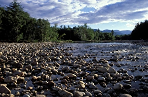 Saco River. The Cohos Trail begins along the banks of the Saco River. White Mountain N Saco River. The Cohos Trail begins along the banks of the Saco River. White Mountain N
