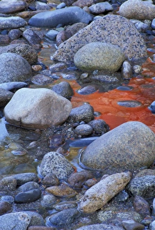 Saco River. Fall colors reflect in the water. Bartlett, NH Saco River. Fall colors reflect in the water. Bartlett, NH
