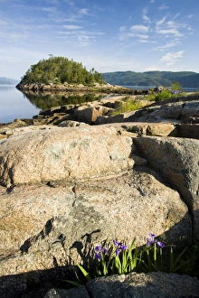 The Saguenay River as seen from the pier in the village of Petit-Saguenay The Saguenay River as seen from the pier in the village of Petit-Saguenay