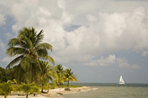 Sailboat on Caribbean Sea, viewed from Chabil Mar Villas, Placencia, Stann Creek District Sailboat on Caribbean Sea, viewed from Chabil Mar Villas, Placencia, Stann Creek District