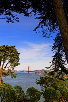 San Francisco Golden Gate Bridge framed by trees taken from Lincoln Park San Francisco Golden Gate Bridge framed by trees taken from Lincoln Park