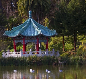 In San Francisco, Stow Lake with seagulls and rich greenery surround the Golden Gate In San Francisco, Stow Lake with seagulls and rich greenery surround the Golden Gate