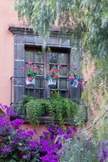 Alice Garland Collection: San Miguel de Allende, Window with geraniums and bougainvillia