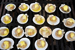 Summer Dinner Ideas Prints: Scallops on Barbeque