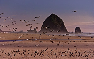 A scenic view of Hstack Rock at Cannon Beach i Oregon A scenic view of Hstack Rock at Cannon Beach i Oregon