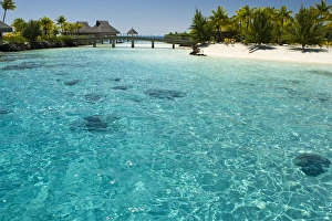 Scenics and grounds of beautiful resort in Bora Bora Scenics and grounds of beautiful resort in Bora Bora