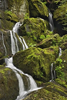 Seasonal cascade, Place of a Thousand Drips, Great Smoky Mountains National Park Seasonal cascade, Place of a Thousand Drips, Great Smoky Mountains National Park