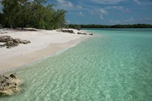 Seychelles, Indian Ocean, Aldabra Island Group, Aldabra Atoll, Picard Island Seychelles, Indian Ocean, Aldabra Island Group, Aldabra Atoll, Picard Island