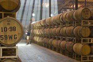 Shafts of light in barrel room of Montevina Winery, near Plymouth, Shenandoah Valley Shafts of light in barrel room of Montevina Winery, near Plymouth, Shenandoah Valley