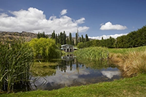 The Shed and pond, Northburn Vineyard, Central Otago, South Island, New Zealand The Shed and pond, Northburn Vineyard, Central Otago, South Island, New Zealand
