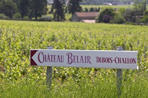 A sign pointing to Chateau Belair Cubois-Challon Chateau Belair (Bel Air) 1st A sign pointing to Chateau Belair Cubois-Challon Chateau Belair (Bel Air) 1st