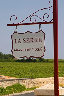 A sign in the vineyard saying Chateau La Serre Grand Cru Classe Saint Emilion Bordeaux A sign in the vineyard saying Chateau La Serre Grand Cru Classe Saint Emilion Bordeaux