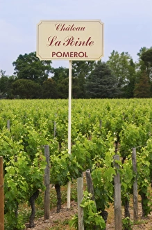 A sign in the vineyards saying Chateau La Pointe Pomerol Bordeaux Gironde Aquitaine A sign in the vineyards saying Chateau La Pointe Pomerol Bordeaux Gironde Aquitaine