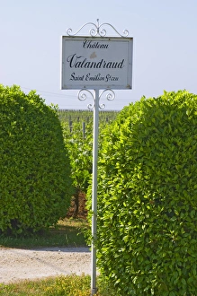 A sign in the vineyards saying Chateau Valandraud Saint Emilion Grand Cru, owned A sign in the vineyards saying Chateau Valandraud Saint Emilion Grand Cru, owned