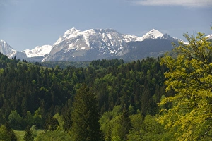 SLOVENIA-GORENJSKA-Bohinjska Bistrica: View of Julian Alps SLOVENIA-GORENJSKA-Bohinjska Bistrica: View of Julian Alps