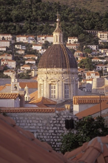 A small ladder reaches all the way to the top of the dome at the Cathedral of the A small ladder reaches all the way to the top of the dome at the Cathedral of the