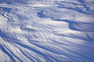 Snow drift patterns at sunrise near Little Martin Island, Lake Kabetogama, Voyageurs National Park Snow drift patterns at sunrise near Little Martin Island, Lake Kabetogama, Voyageurs National Park