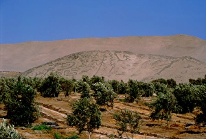South America, Chile, Arica. Atacama Desert, one of the driest places on earth. Geoglyphs South America, Chile, Arica. Atacama Desert, one of the driest places on earth. Geoglyphs