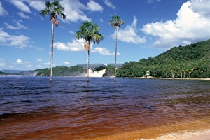 South America, Venezuela, Gran Sabana. Canaima South America, Venezuela, Gran Sabana. Canaima