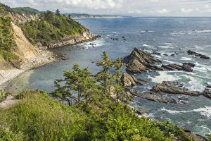 South Cove at low tide as seen from Cape Arago South Cove at low tide as seen from Cape Arago