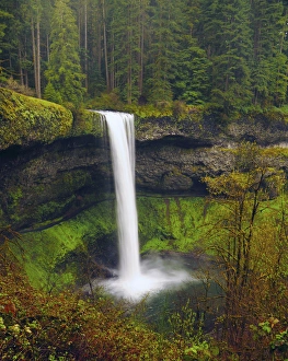 South Falls in Spring: Silver Falls State Park, Oregon, USA South Falls in Spring: Silver Falls State Park, Oregon, USA